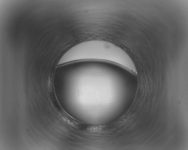X0000072970084200607211042