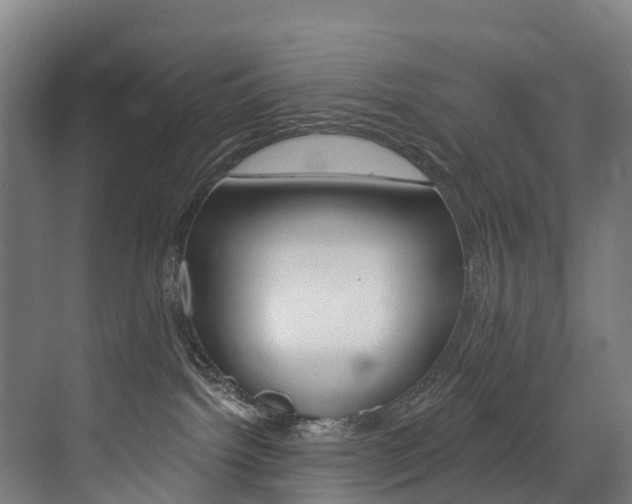 X0000072970092200607211042