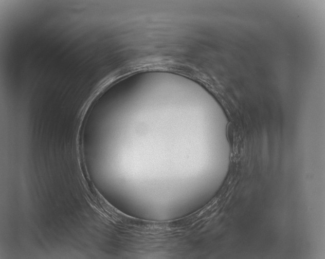 X0000072970099200607211041