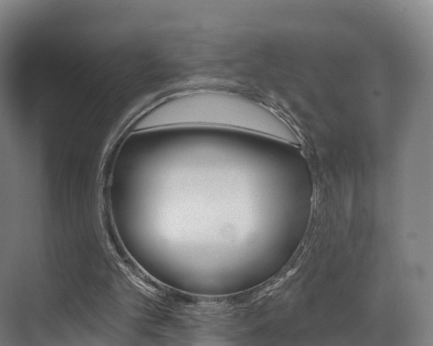 X0000072970101200607211041