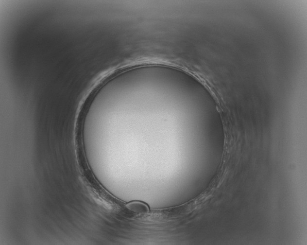X0000072970104200607211041