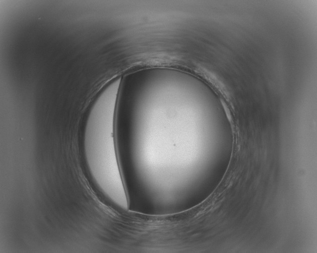 X0000072970105200607211041