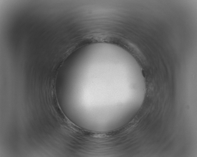 X0000072970121200607211040