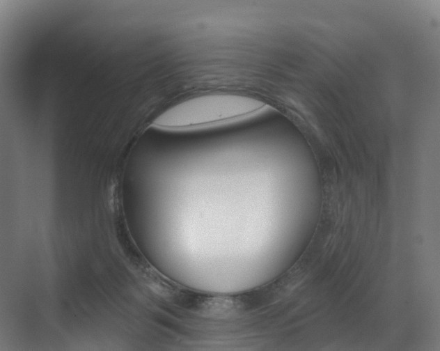 X0000072970123200607211040