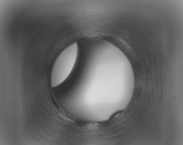 X0000072970124200607211040