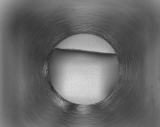X0000072970142200607211040