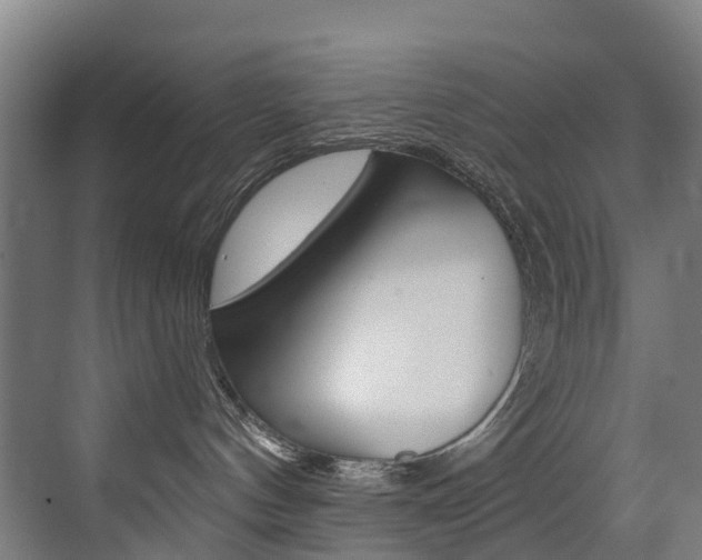 X0000072970144200607211040