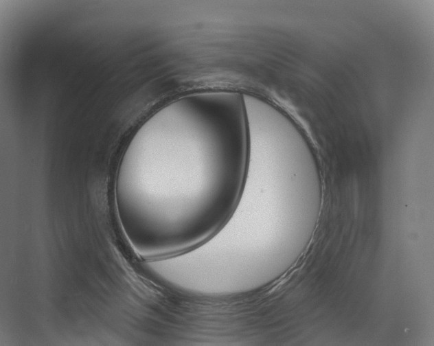 X0000072970154200607211039