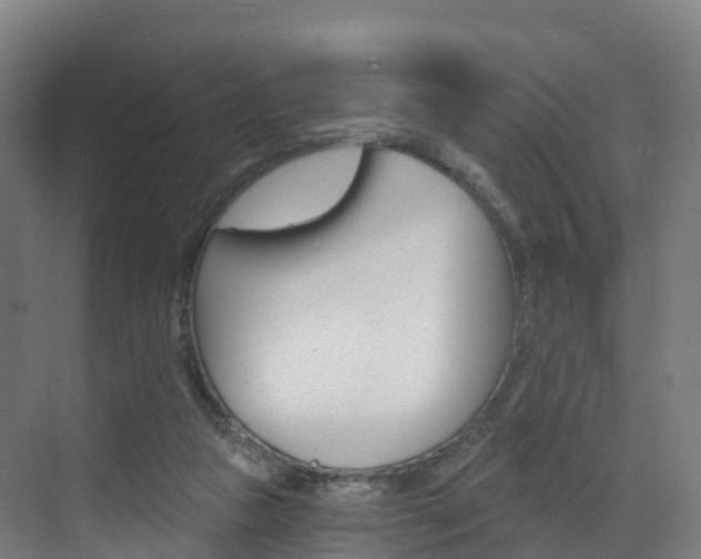 X0000072970161200607211040