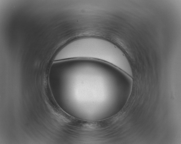 X0000072970164200607211040