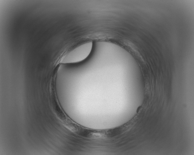 X0000072970167200607211040
