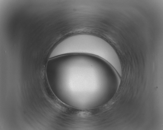 X0000072970168200607211040