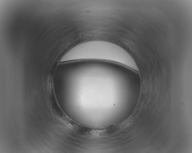 X0000072970172200607211040