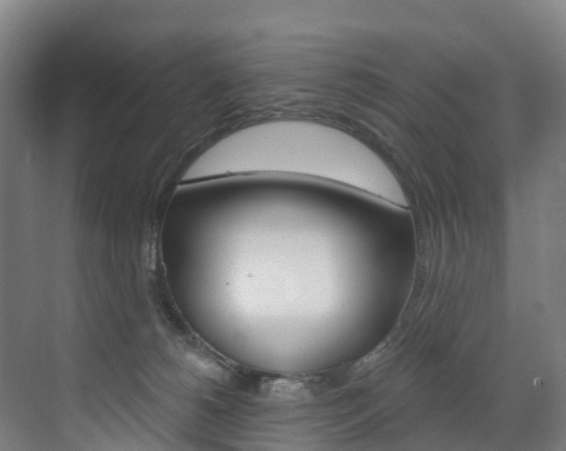 X0000072970180200607211040