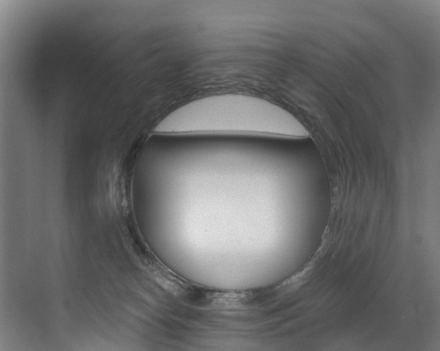 X0000072970182200607211040