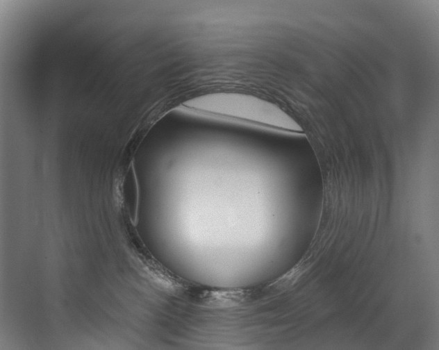 X0000072970188200607211040