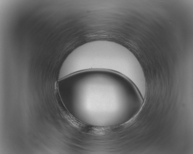 X0000072970190200607211040