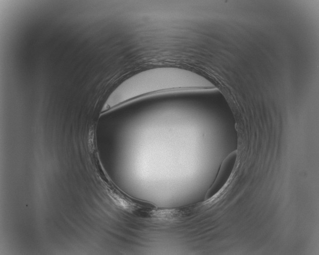 X0000072970192200607211040