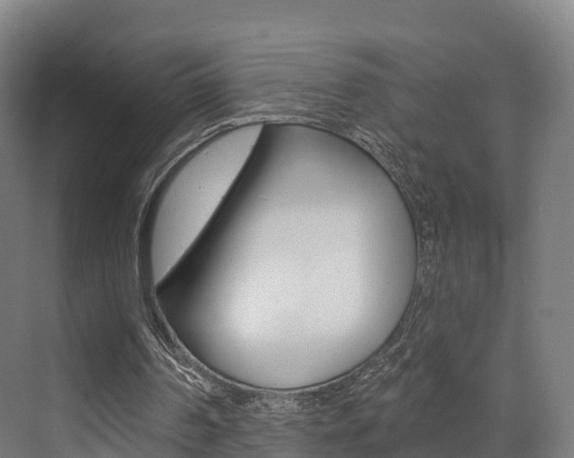 X0000072970194200607211039
