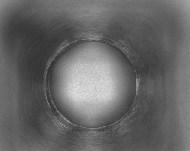 X0000072970195200607211039