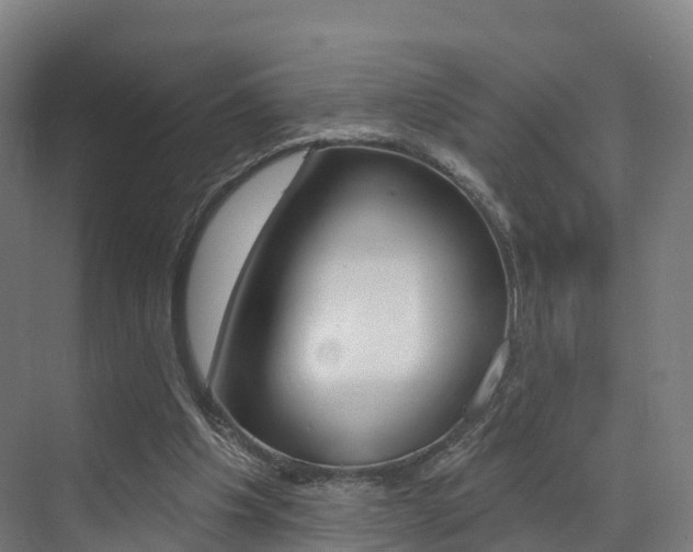 X0000072970201200607211039