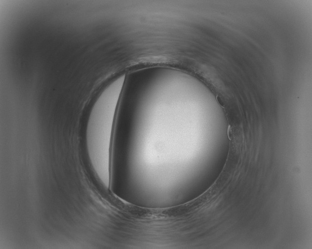 X0000072970207200607211039