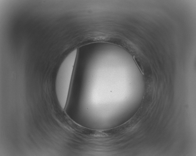 X0000072970215200607211039