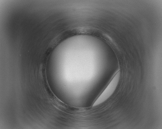 X0000072970217200607211039