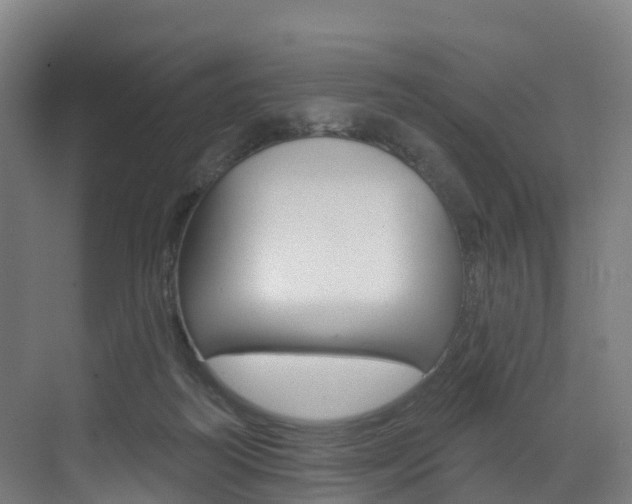 X0000072970218200607211039
