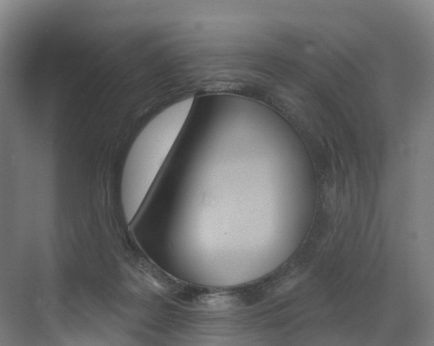 X0000072970219200607211039