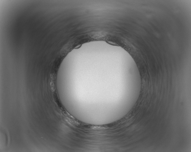 X0000072970234200607211039