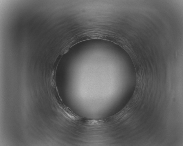 X0000072970239200607211038