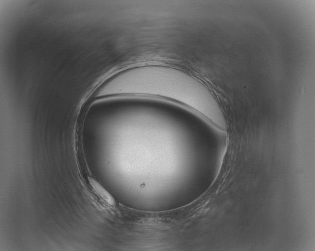 X0000072970244200607211038