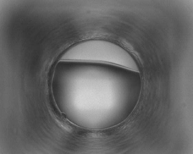 X0000072970250200607211038