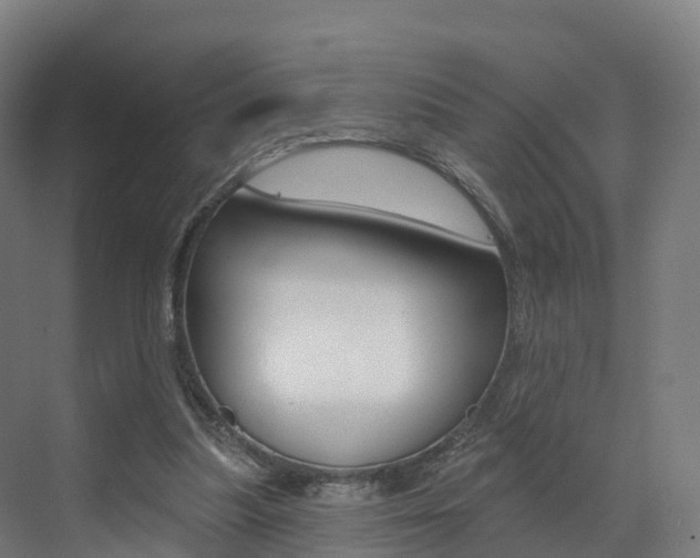 X0000072970251200607211038