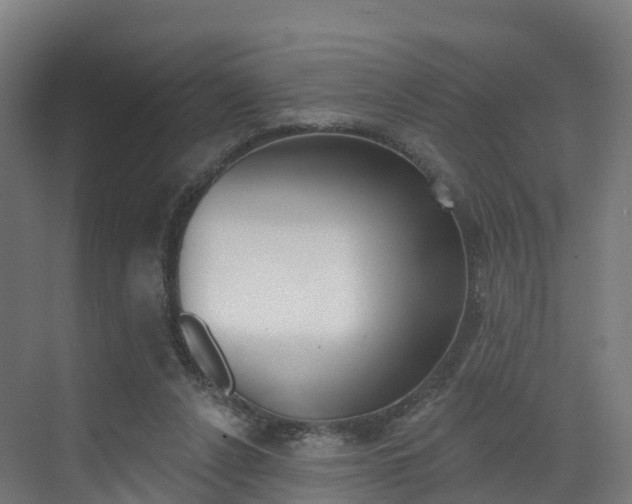 X0000072970256200607211038