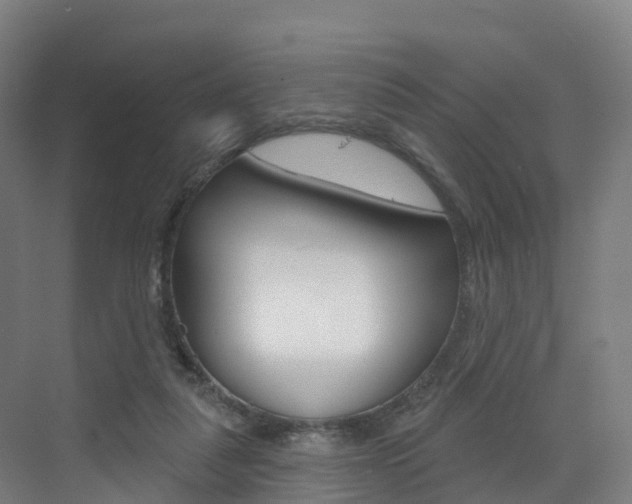 X0000072970259200607211038