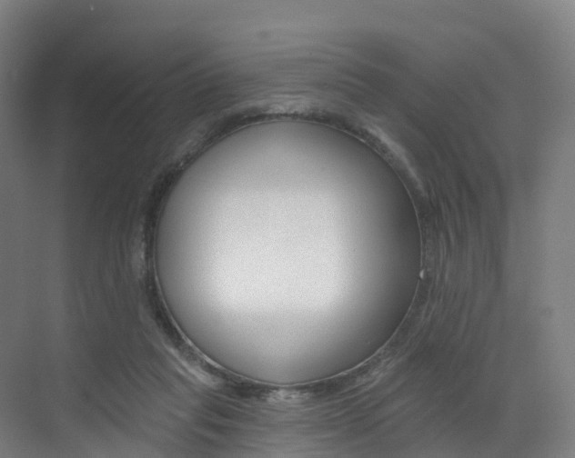 X0000072970261200607211038