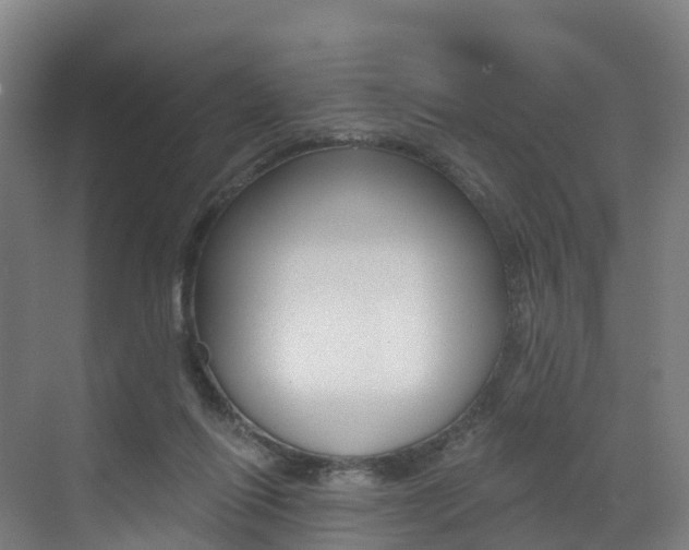 X0000072970262200607211038