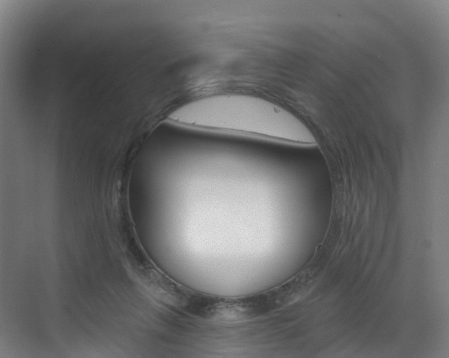 X0000072970263200607211038