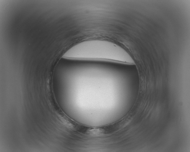 X0000072970269200607211038