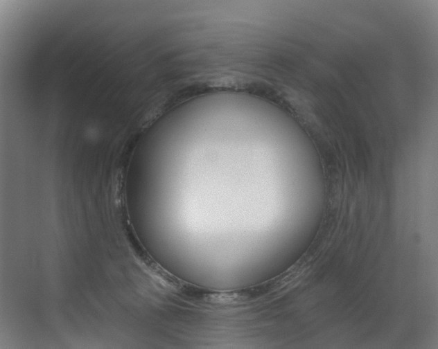 X0000072970273200607211038