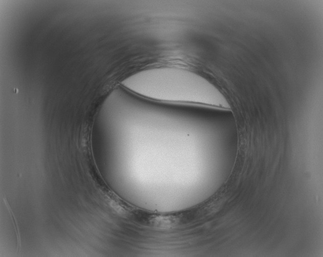X0000072970277200607211038