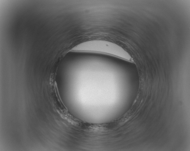 X0000072970284200607211038