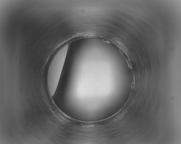 X0000072970301200607211037