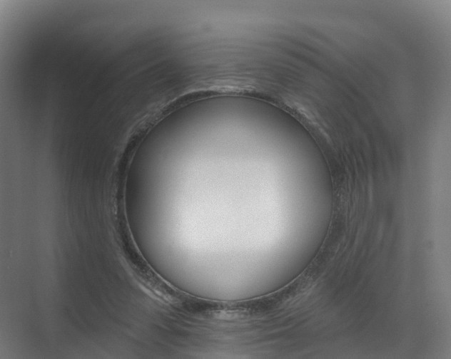 X0000072970303200607211037
