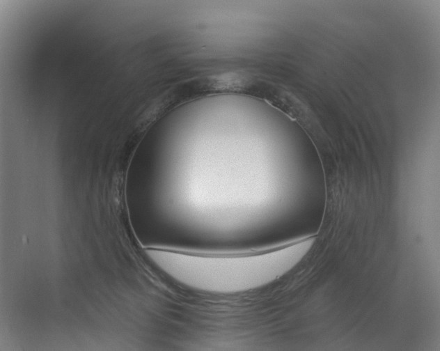 X0000072970325200607211037