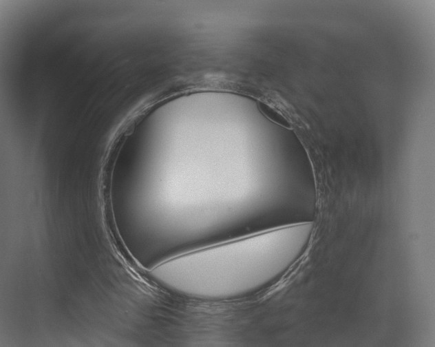 X0000072970341200607211036