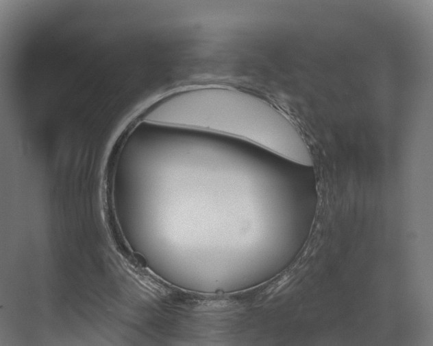 X0000072970342200607211036