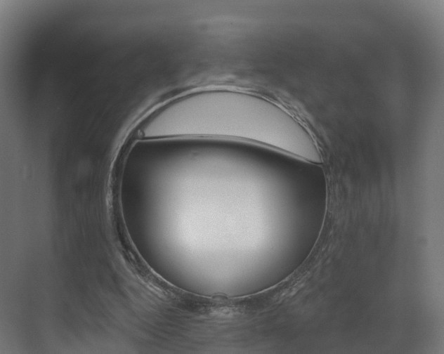 X0000072970344200607211036